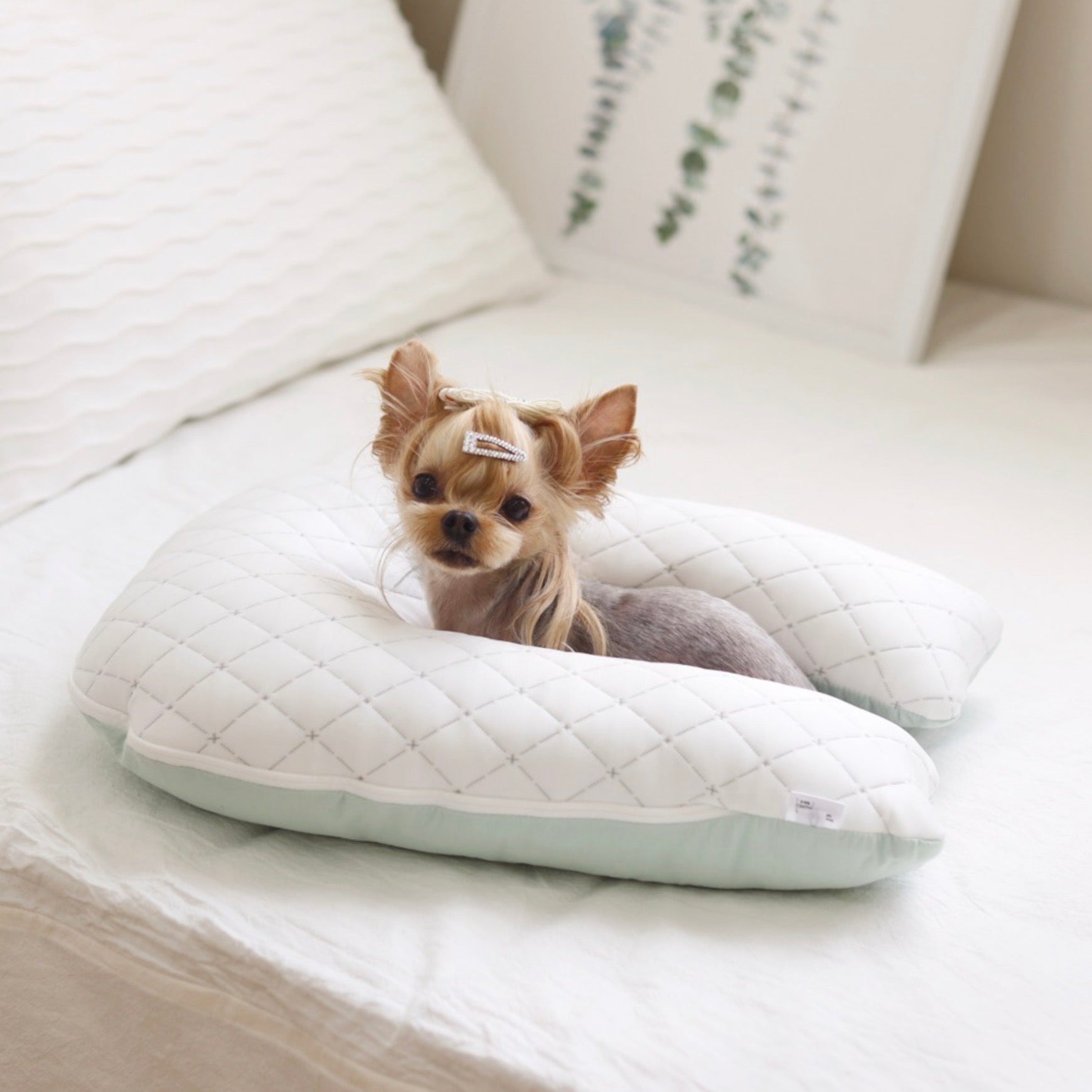 海外犬服 高品質なインポートのドッグウェア通販 URBAN DOG TOKYO