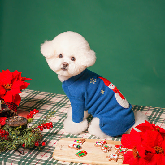 ※予約販売【LOVEMORE】SNOWMAN ALL IN ONE