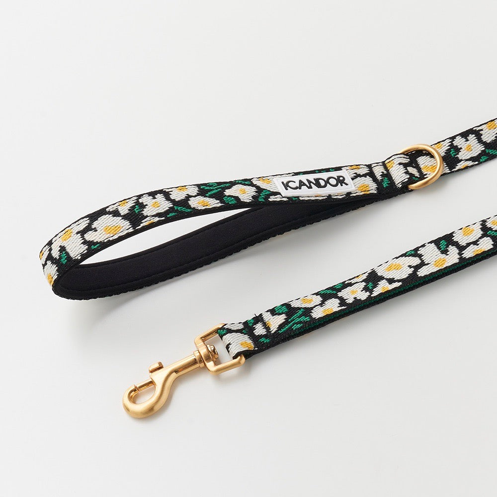 iCANDOR Gentle Coolar Dual リードセット ビッグフィッシュ 海外犬服 高品質なインポートのドッグウェア通販 