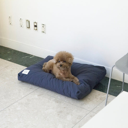 ※予約販売【DA】fuzzy cushion(ネイビー)