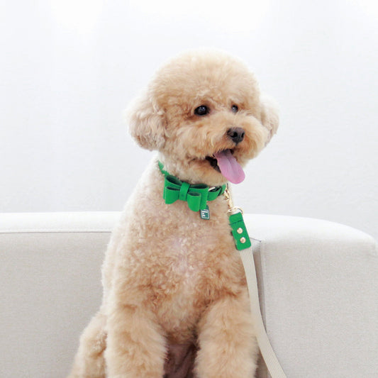 ※予約販売【maison de miu】Soft Ribbon Collar（Green）