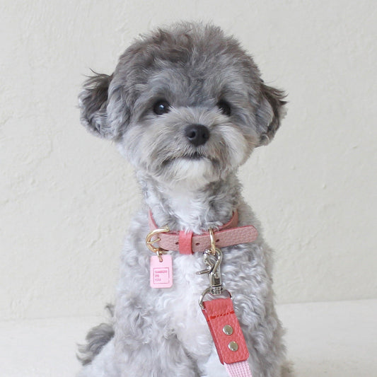 ※予約販売【maison de miu】Pet Collar (Pink / Coral)