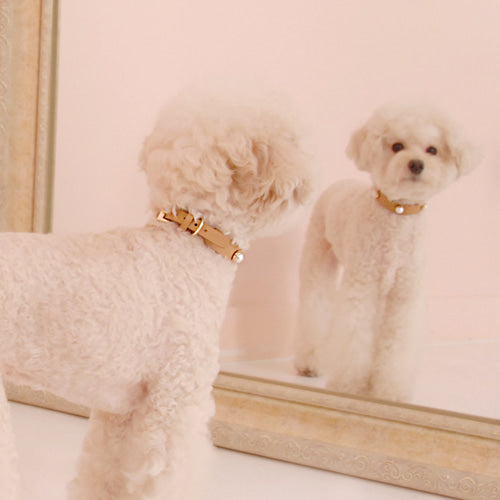 ※予約販売【maison de miu】 Solid Pearl Collar（Camel / Red / Deep Green / Navy / Black）