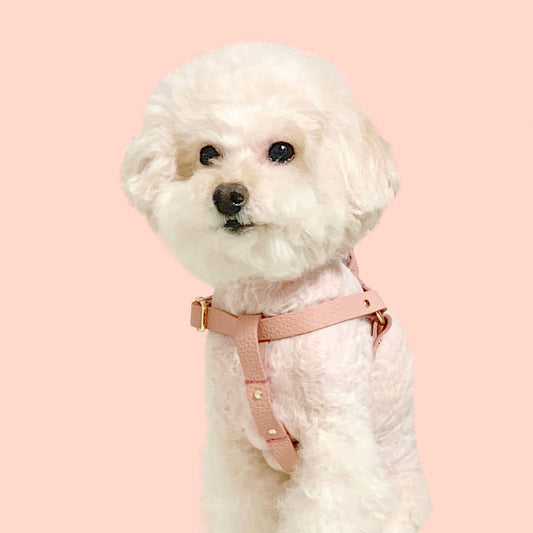 ※予約販売【maison de miu】 Running Mate Harness（Rose Pink）