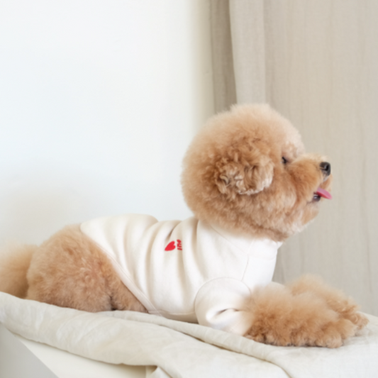 即納【cosy corner】Mochi Half neck T-shirt（ミルク）
