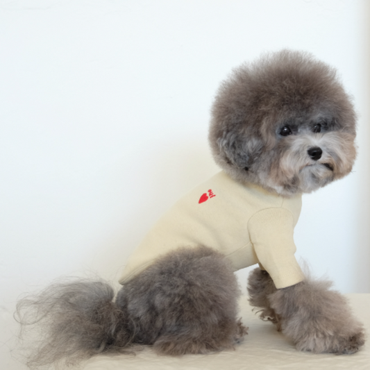 即納【cosy corner】Mochi Half neck T-shirt（モスイエロー）