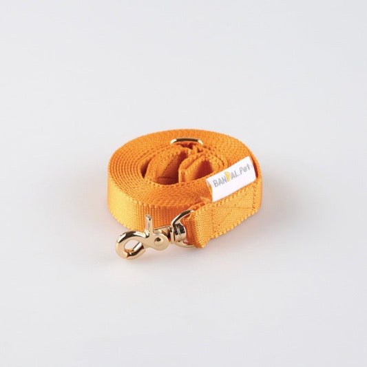 ※予約販売【BANDAL.Pet】ALL DAY NIZI LEAD（イエロー）