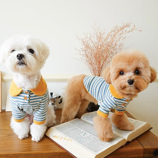 ※予約販売【noutti】Stripe collar tops（イエロー×ブルー）