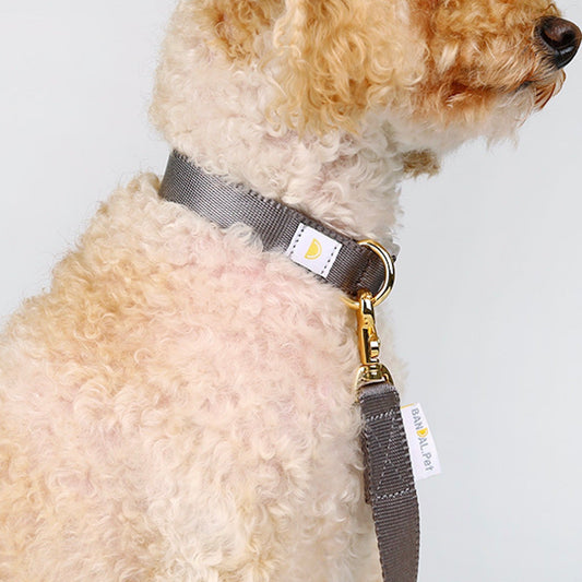 ※予約販売【BANDAL.Pet】ALL DAY NIZI collar（ダークグレー）