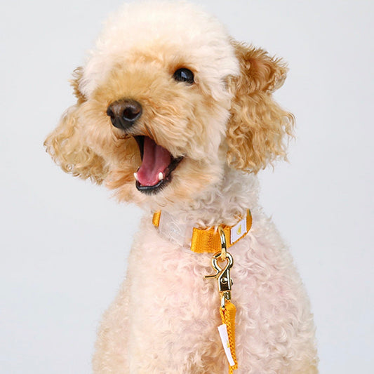 即納【BANDAL.Pet】ALL DAY NIZI collar（イエロー）