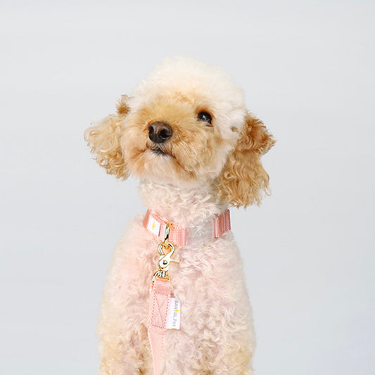 ※予約販売【BANDAL.Pet】ALL DAY NIZI collar（ピンク）