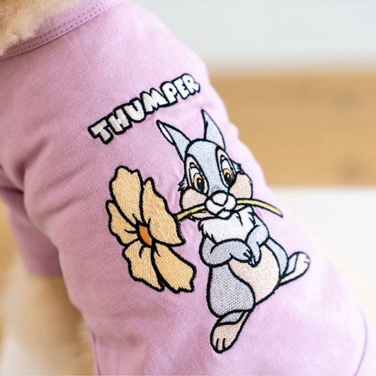 ※予約販売【DA】disney friends  embroidery raglanT（サンパー）