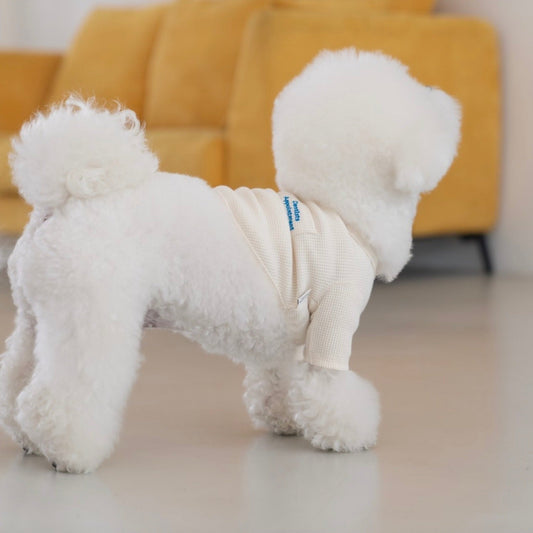 ※予約販売【DA】ワッフルクロップトップ(アイボリー)