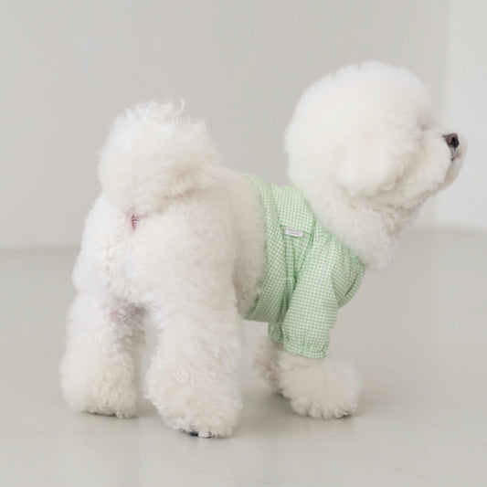 ※予約販売【DA】Pumpkin check tops（グリーン）