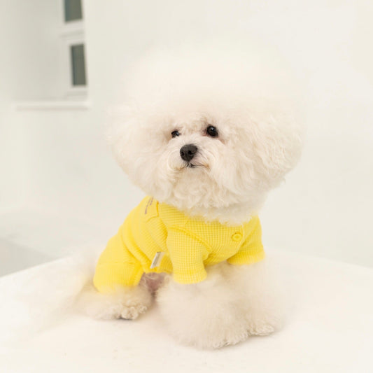 ※予約販売【DA】ワッフルオールインワン(イエロー)