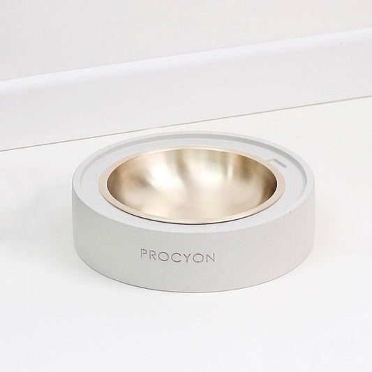 ※予約販売 【PROCYON】O-TABLE