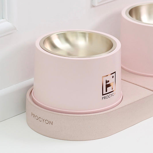 ※予約販売 【PROCYON】D-TABLE