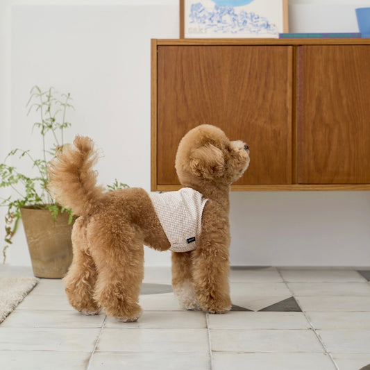 ※予約販売【small stuff】SEERSUCKER TOP（BEIGE）