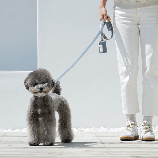 ※予約販売【Chiot】Premium Leather Lead
