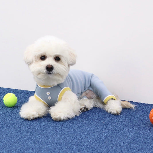 ※予約販売【Chiot】playball all in one（ブルー）