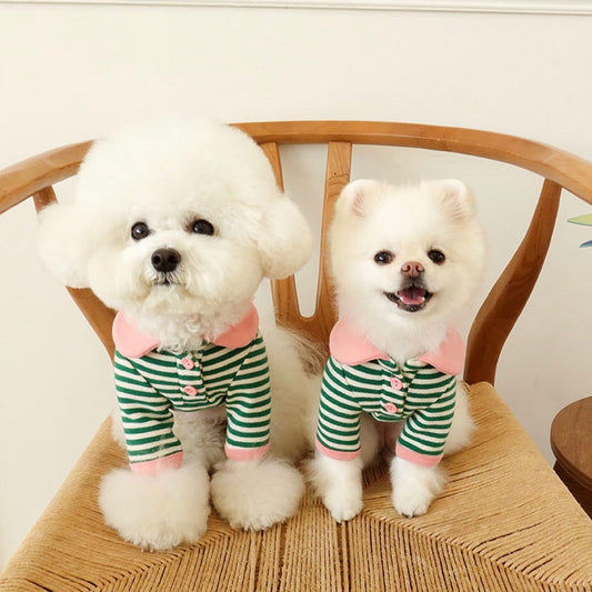 ※予約販売【noutti】Stripe collar tops（ピンク×グリーン）