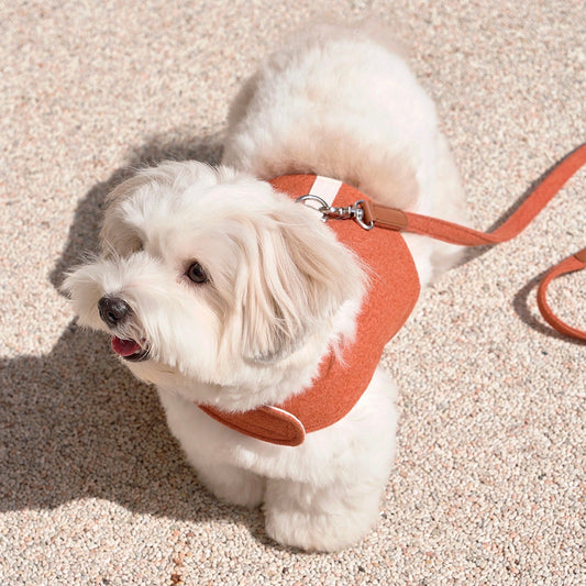 ※予約販売【small stuff】NEW WALK JACKET（ORANGE）