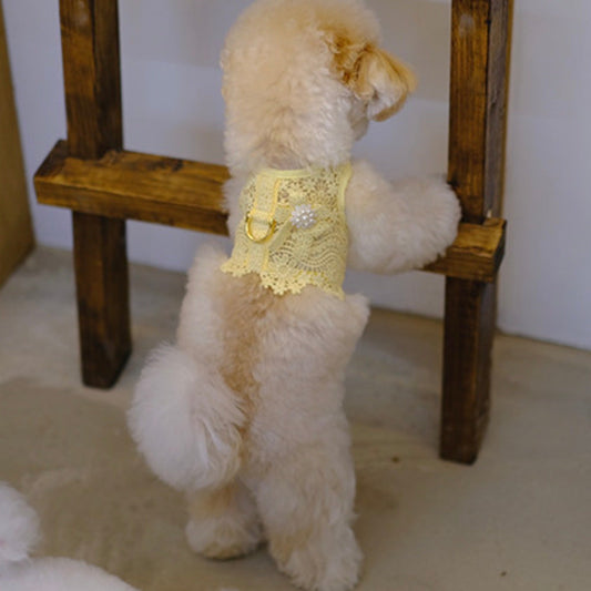 ※予約販売【BeBe Breath】juice harness（Yellow）