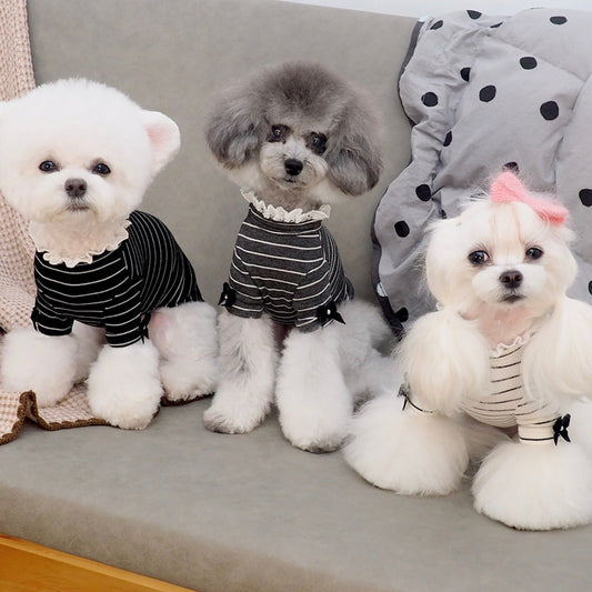 ※予約販売【GET BACK】スワロフスキーレースアップボーダーニットソー