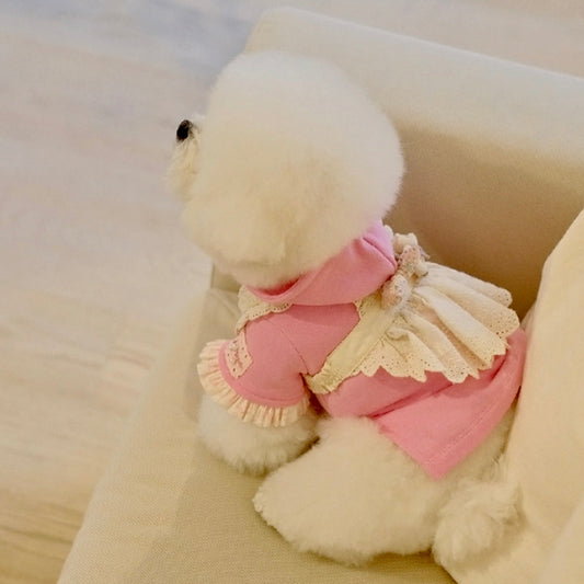 ※予約販売【BeBe Breath】bebe chu hood T-shirt（Pink）