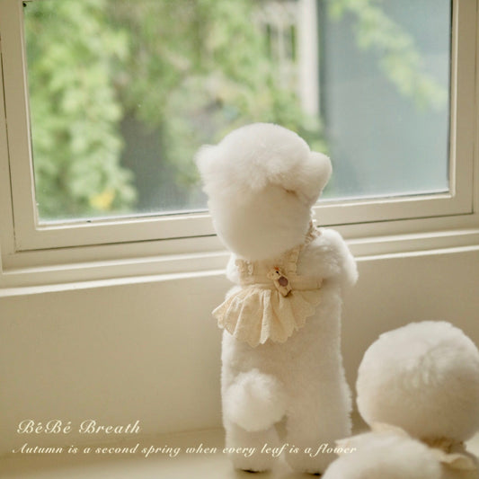 ※予約販売【BeBe Breath】bustier Bearpron