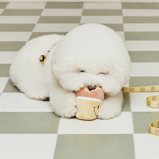 即納【andblank】DONUT NOSEWORK TOY
