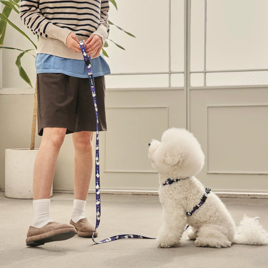 ※予約販売【andblank】FLYING DUCK LEAD