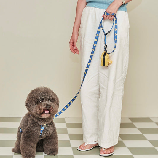 ※予約販売【andblank×Knotted】Smile lead(Blue)