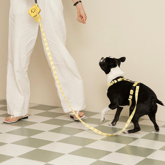 ※予約販売【andblank×Knotted】Smile lead(Yellow)