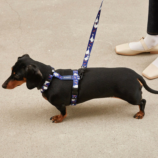 ※予約販売【andblank】FLYING DUCK HARNESS