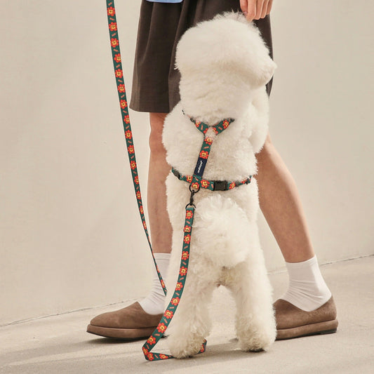 ※予約販売【andblank】FLOWER LION HARNESS