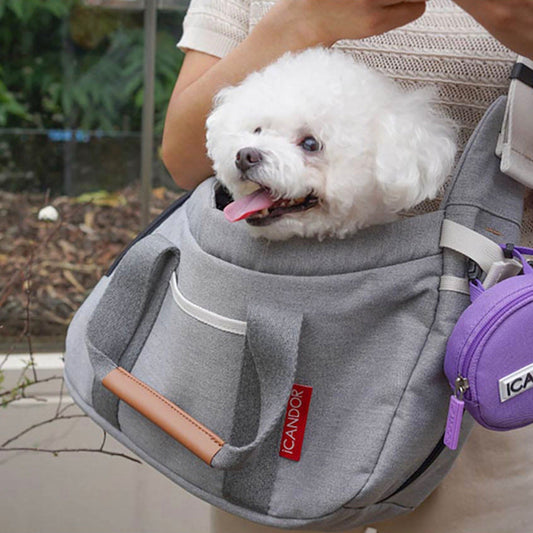 ※予約販売【iCANDOR】PEEK-A-BOO BAG（Lush Gray）