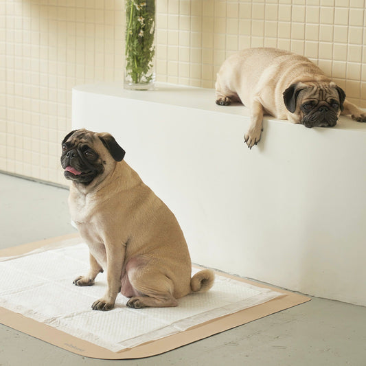 ※予約販売【munikund】Water-Block Floor Mat