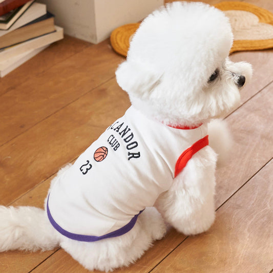 ※予約販売【iCANDOR】iCANDOR CLUB JERSEY (BASKET BALL)