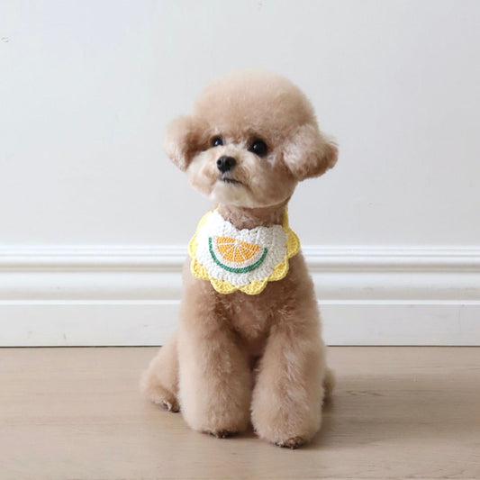 即納【Chiot】Chiot×Seol n DAN  Fruit Knitting Cape (lime)