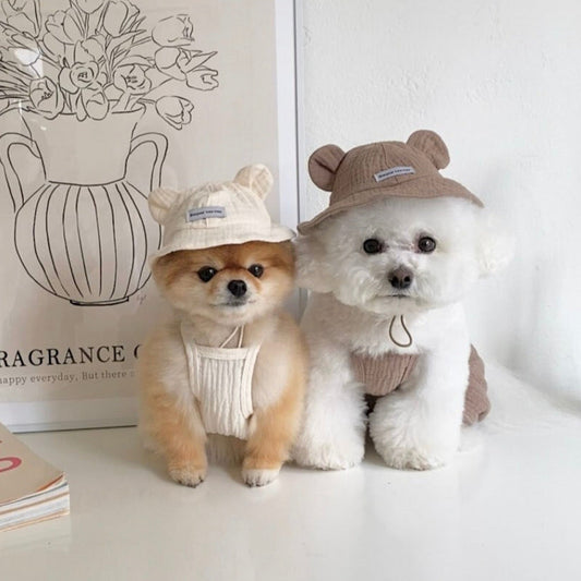 ※予約販売【Bonjour TOU-TOU】 Hi bear hat