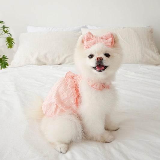 ※予約販売【noutti】sherbet frill balloon top（Grapefruit）