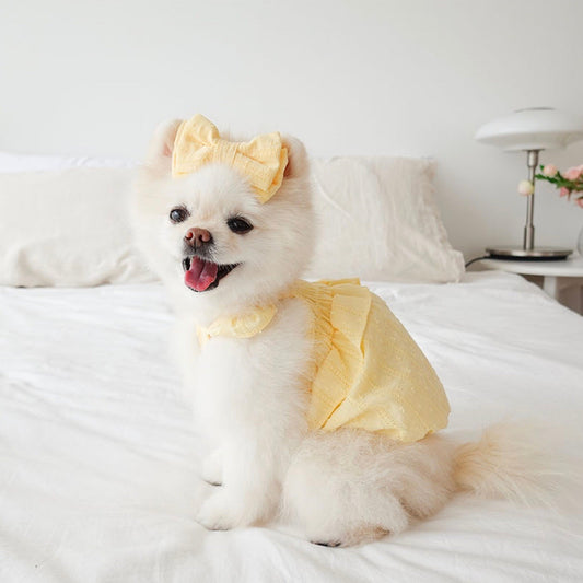 ※予約販売【noutti】sherbet frill balloon top（Lemon）