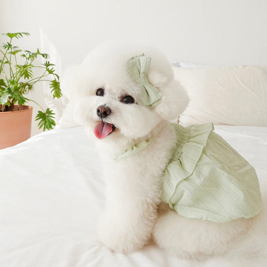 ※予約販売【noutti】sherbet frill balloon top（Apple mint）