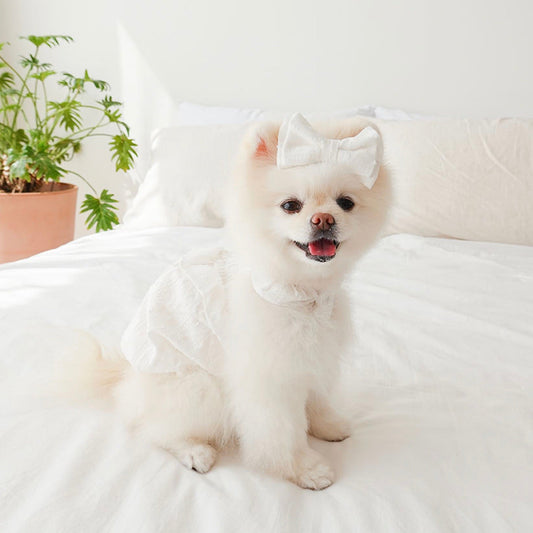 ※予約販売【noutti】sherbet frill balloon top（Milk）