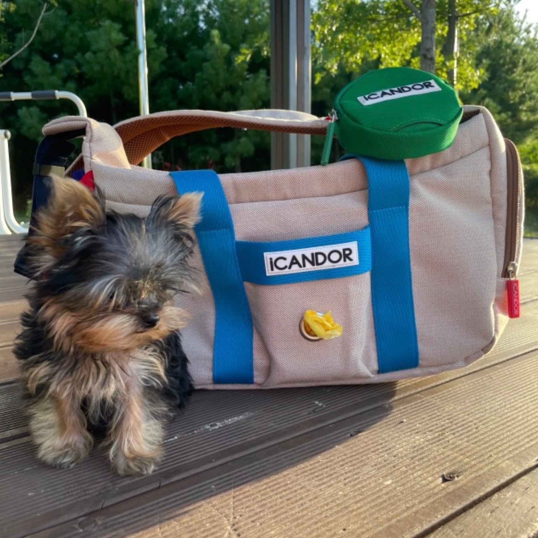 海外犬服 高品質なインポートのドッグウェア通販 URBAN DOG TOKYO