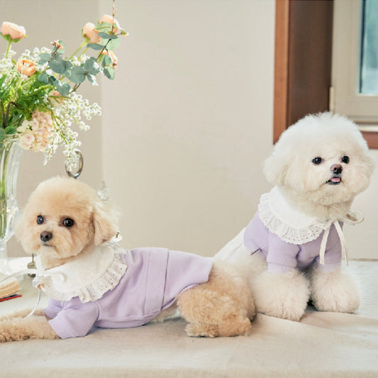 ※予約販売【MOI ET LE CHIEN】Day to Day tops（Purple）