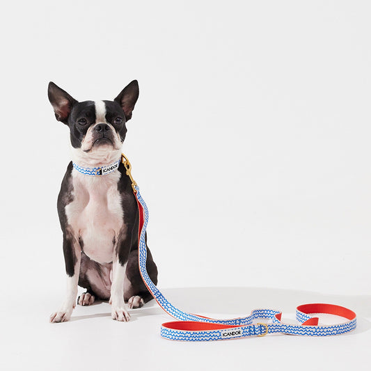 ※予約販売【iCANDOR】Gentle Leash（SURFRIDER）