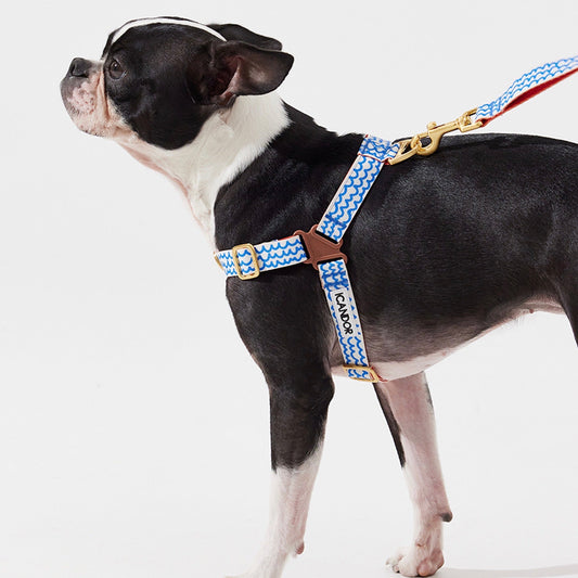 ※予約販売【iCANDOR】No-Pull Harness（SURFRIDER）