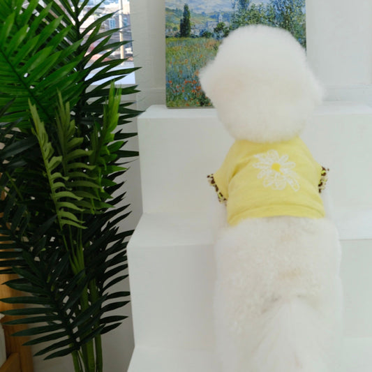 ※予約販売【BeBe Breath】 Daisy Crop Tee(Yellow)
